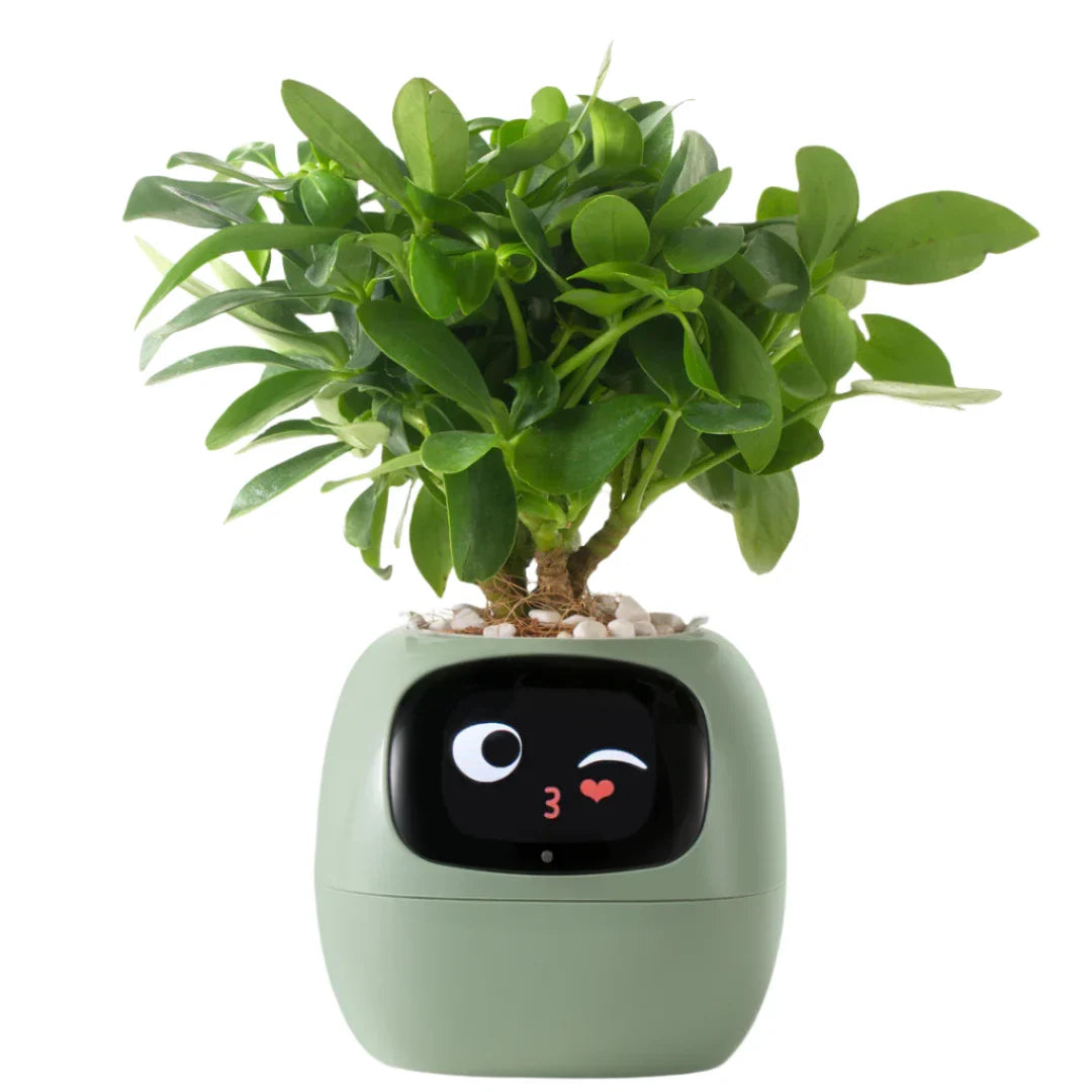 CozyLeafs™ Ivy Smart Planter