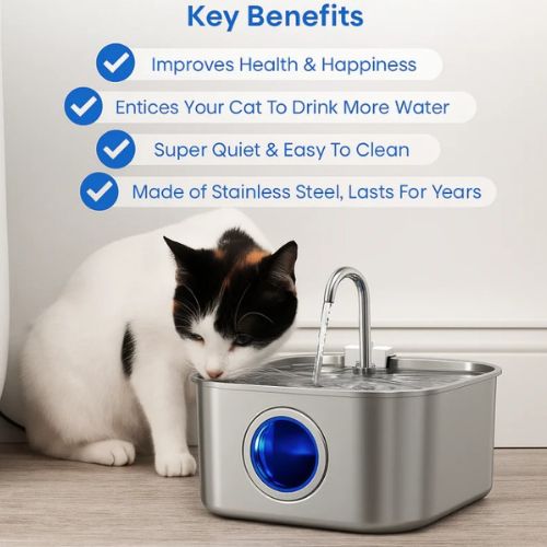Give Your Cat Years More Healthy Life With Cozyleafs™