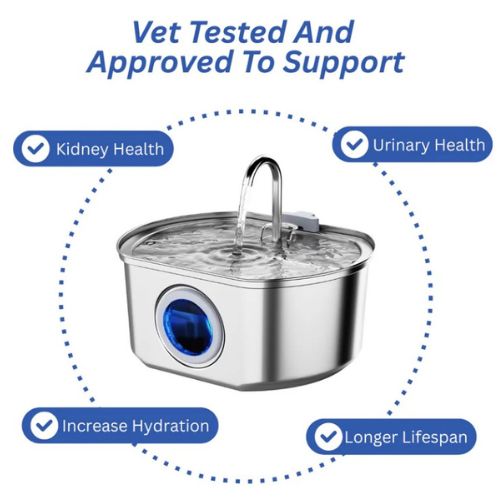 Give Your Cat Years More Healthy Life With Cozyleafs™