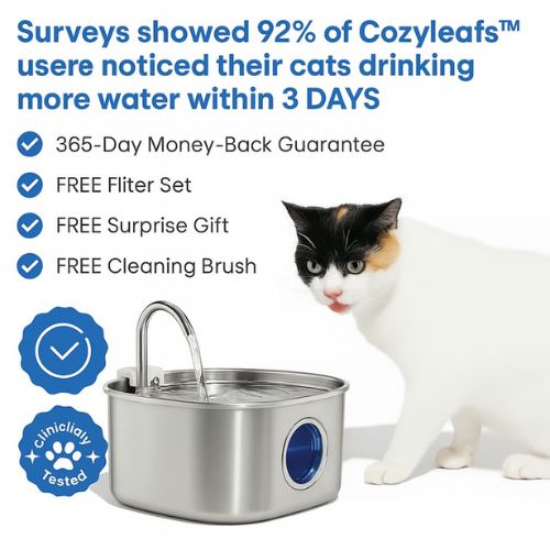 Give Your Cat Years More Healthy Life With Cozyleafs™
