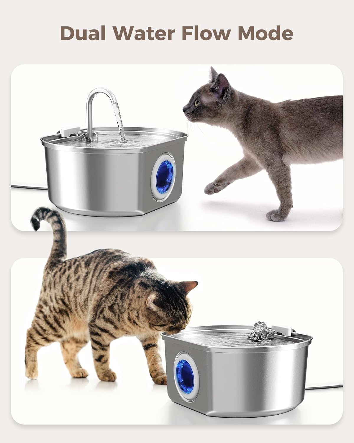 Give Your Cat Years More Healthy Life With Cozyleafs™