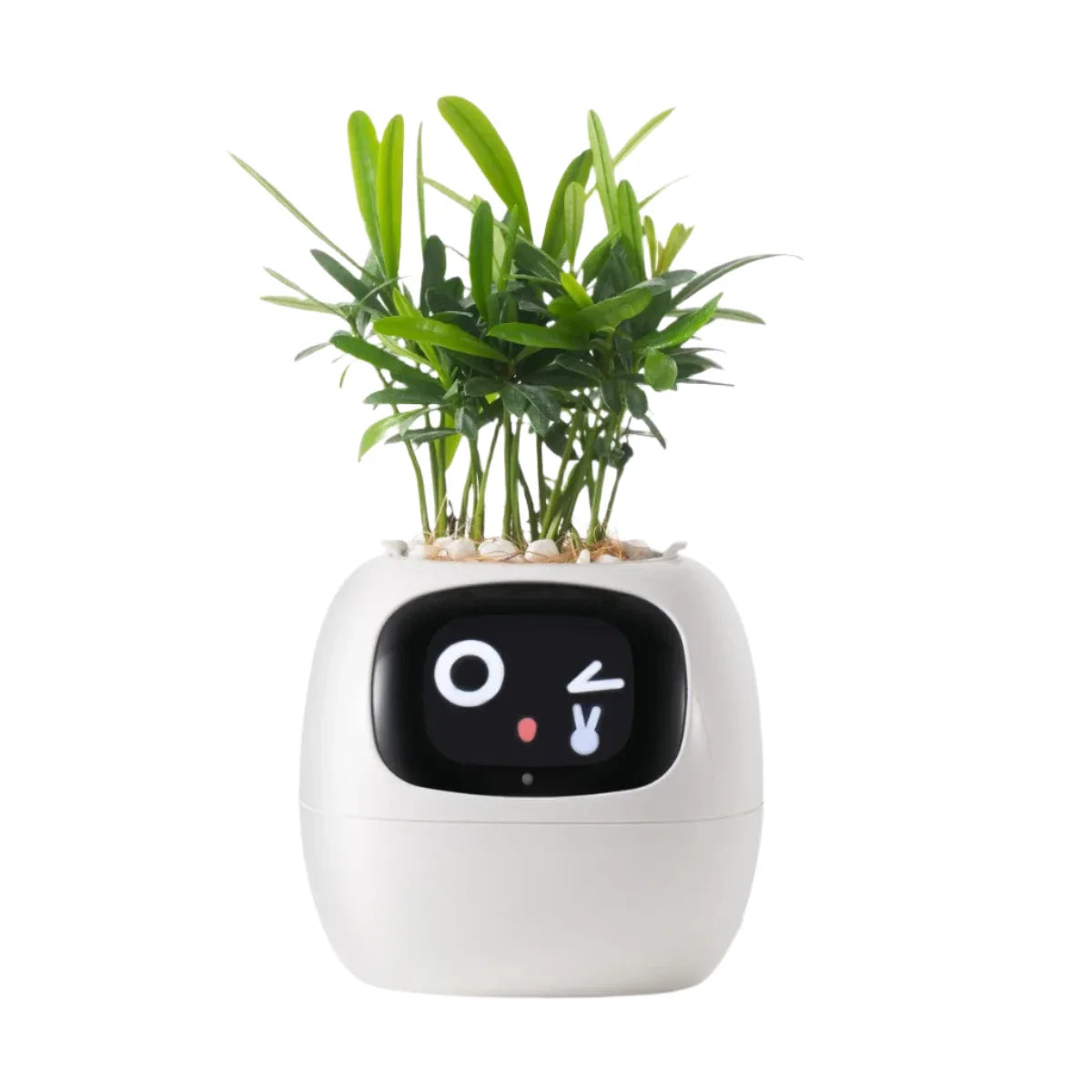 CozyLeafs™ Ivy Smart Planter
