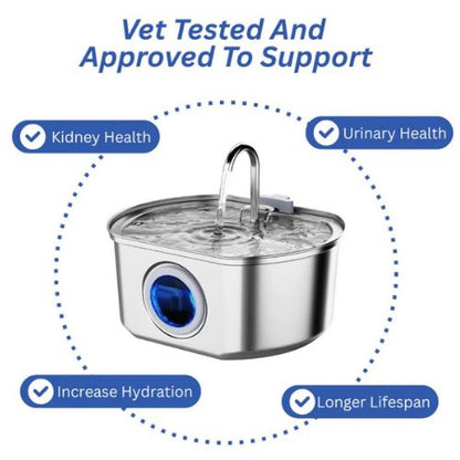 Give Your Cat Years More Healthy Life With Cozyleafs™