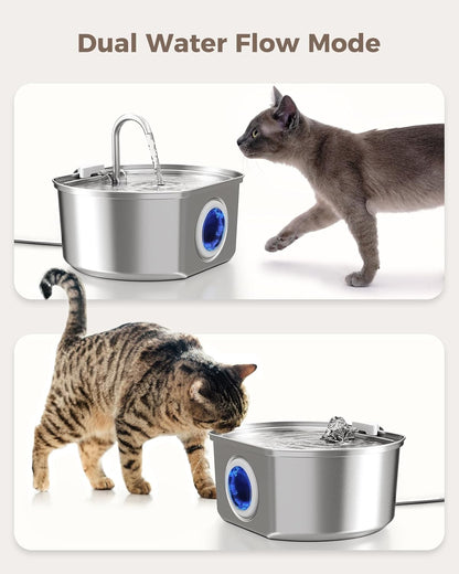 Give Your Cat Years More Healthy Life With Cozyleafs™