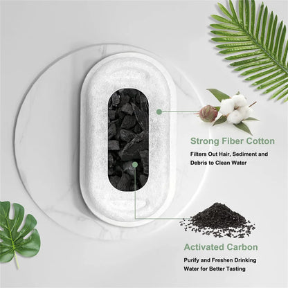 Give Your Cat Years More Healthy Life With Cozyleafs™